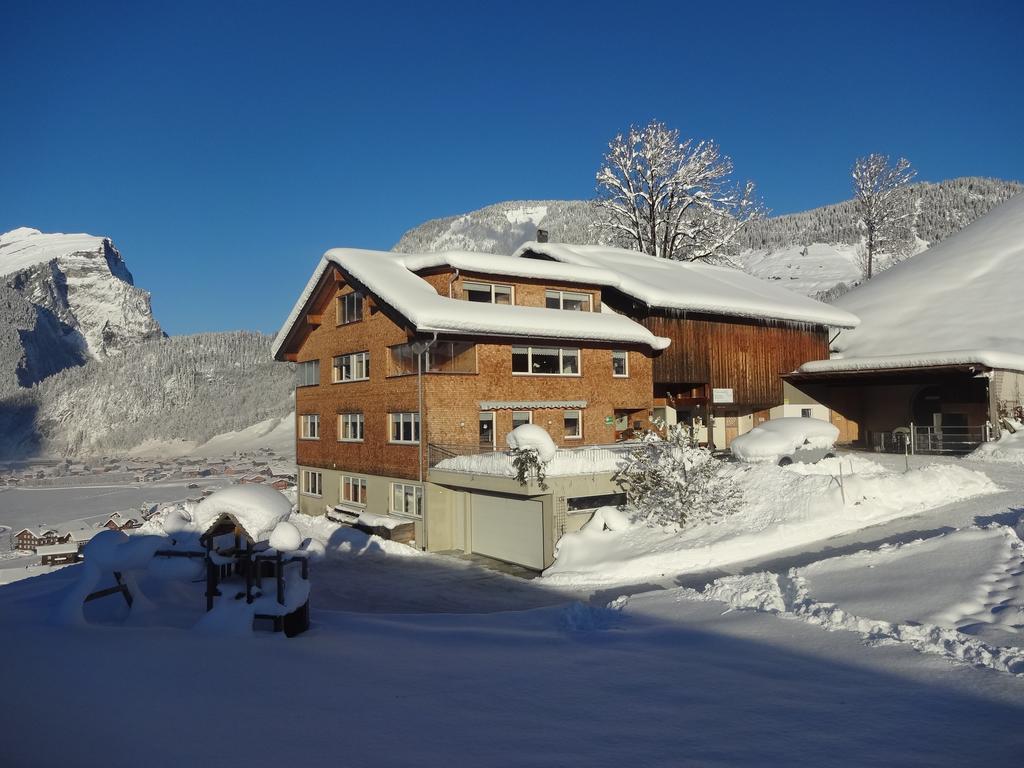 Panoramahof Eggele Bed & Breakfast Schoppernau Dış mekan fotoğraf